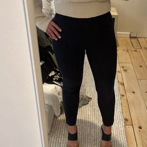 Everlane Skinny Stretchy Pants